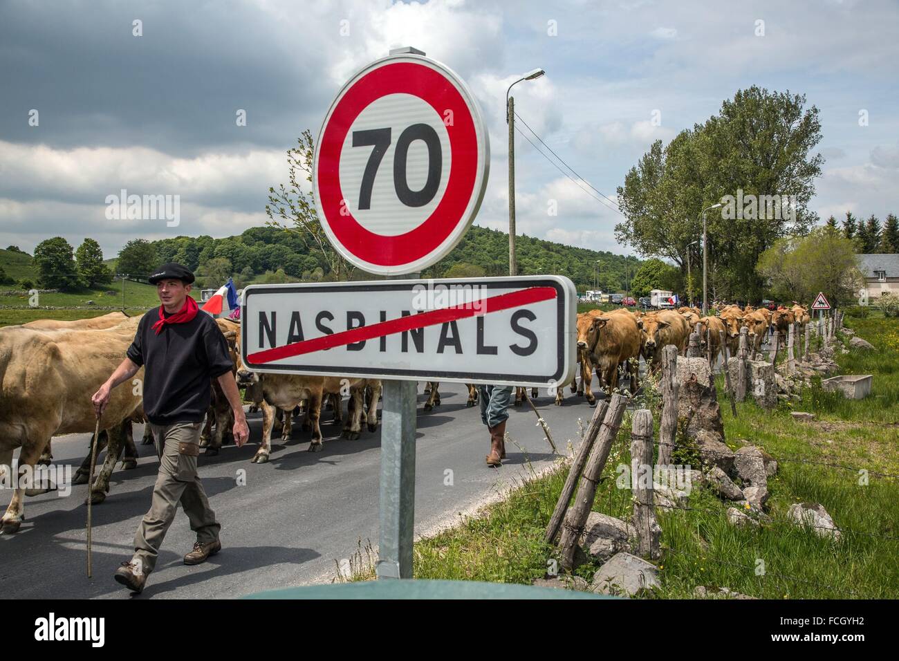 FESTIVAL de transhumance, Lozère (48), FRANCE Banque D'Images
