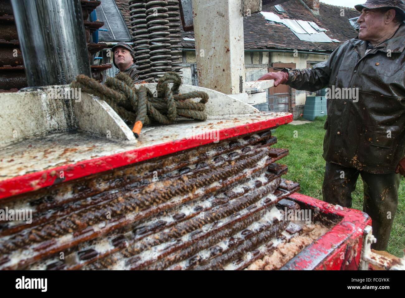 La FABRICATION DE CIDRE DE FERME, NORMANDIE, France Banque D'Images