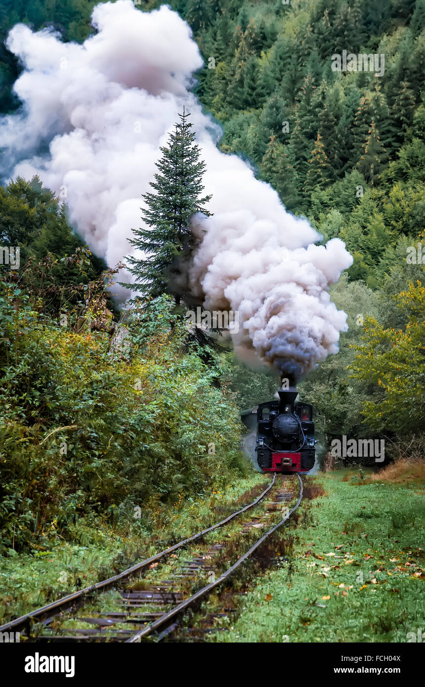Une vieille locomotive à vapeur le long de la ligne à voie étroite "ocanita' dans le Nord de la Roumanie Banque D'Images