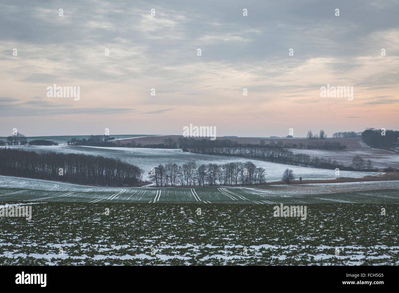 Allemagne Mecklembourg-Poméranie occidentale en hiver Champs Ruegen Banque D'Images