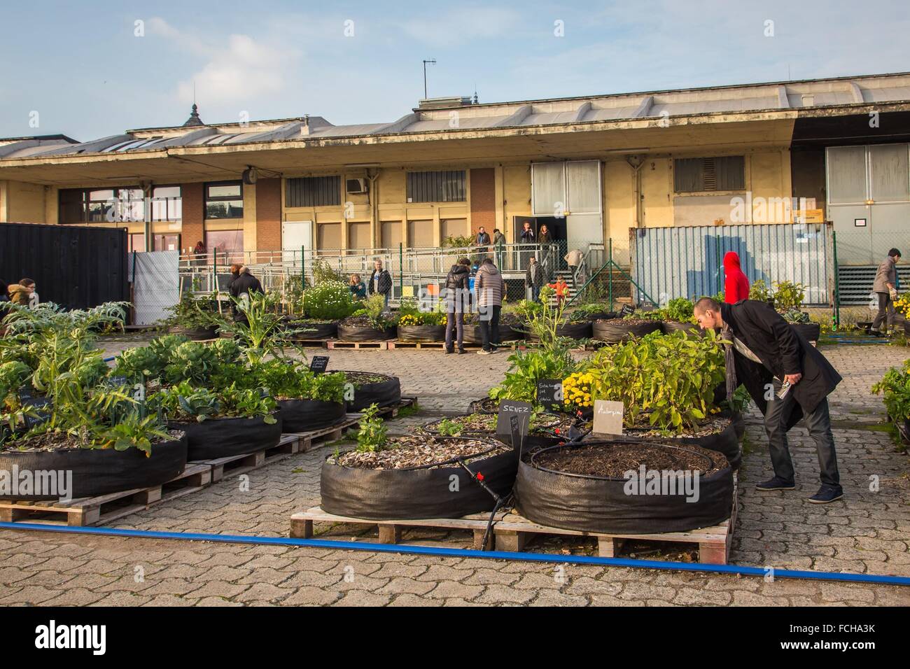 Ferme urbaine, LILLE, (59) NORD, NORD PAS DE CALAIS, FRANCE Banque D'Images