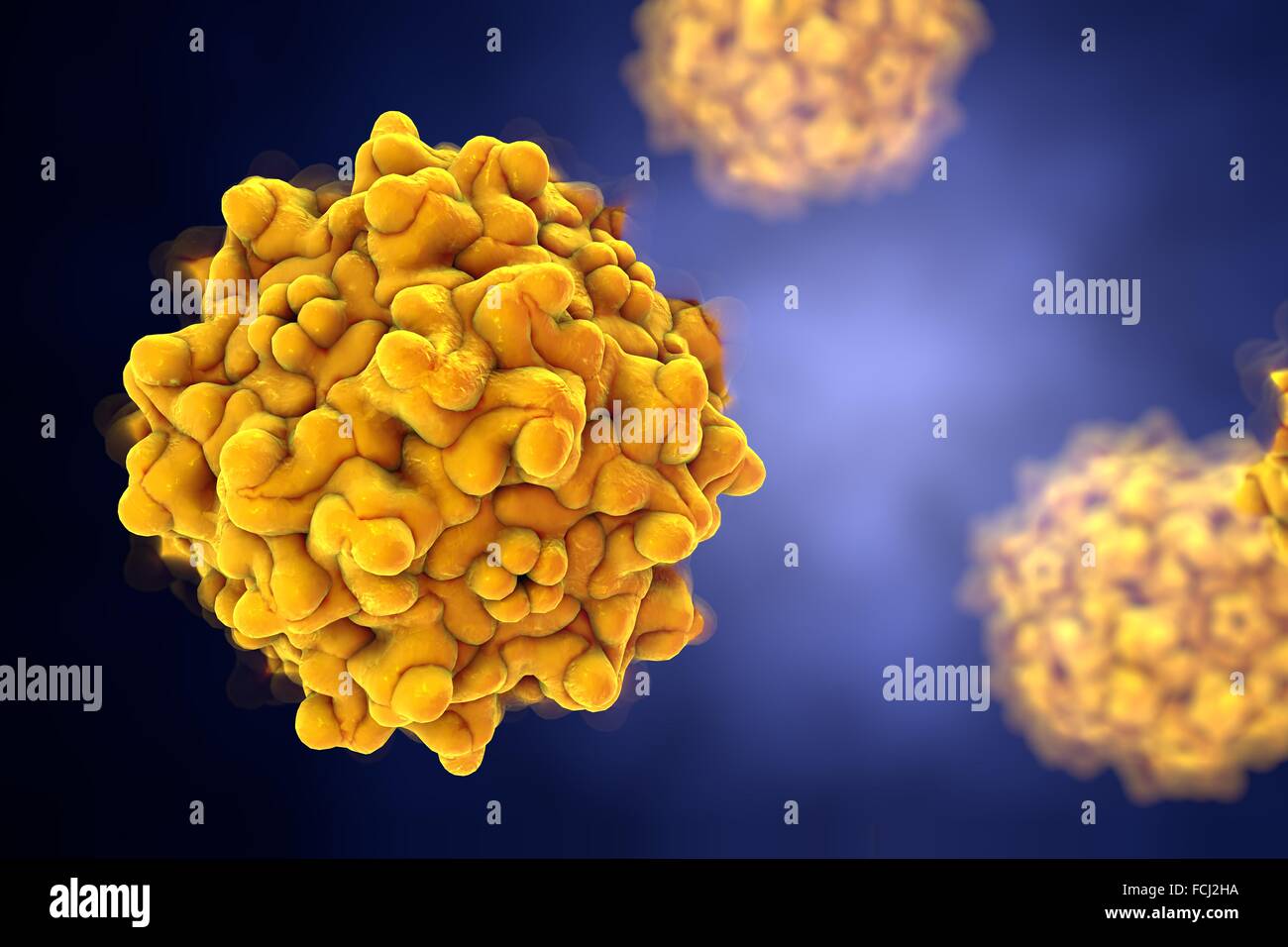 Adeno-associated virus, illustration de l'ordinateur. Adeno-associated virus (AAVs) sont les plus petits virus connus pour infecter les humains. Ils ne causent pas de maladies, et que provoquer une réponse immunitaire doux. Parce qu'elles intègrent leur matériel génétique dans un s Banque D'Images