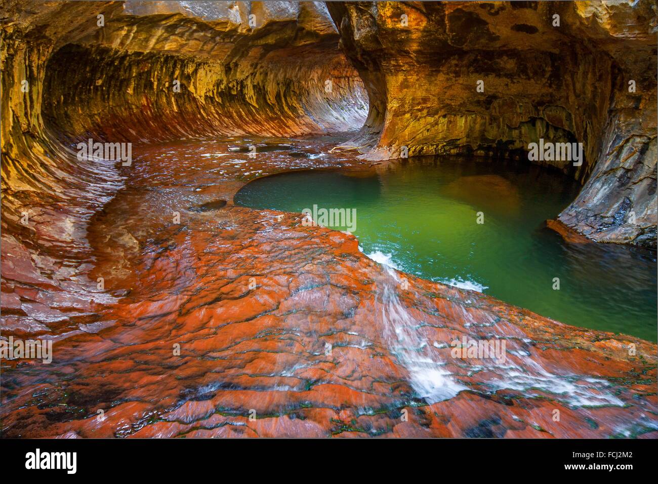 Des couleurs vives s'animent au passage inférieur à Zion National Park, Utah. Banque D'Images