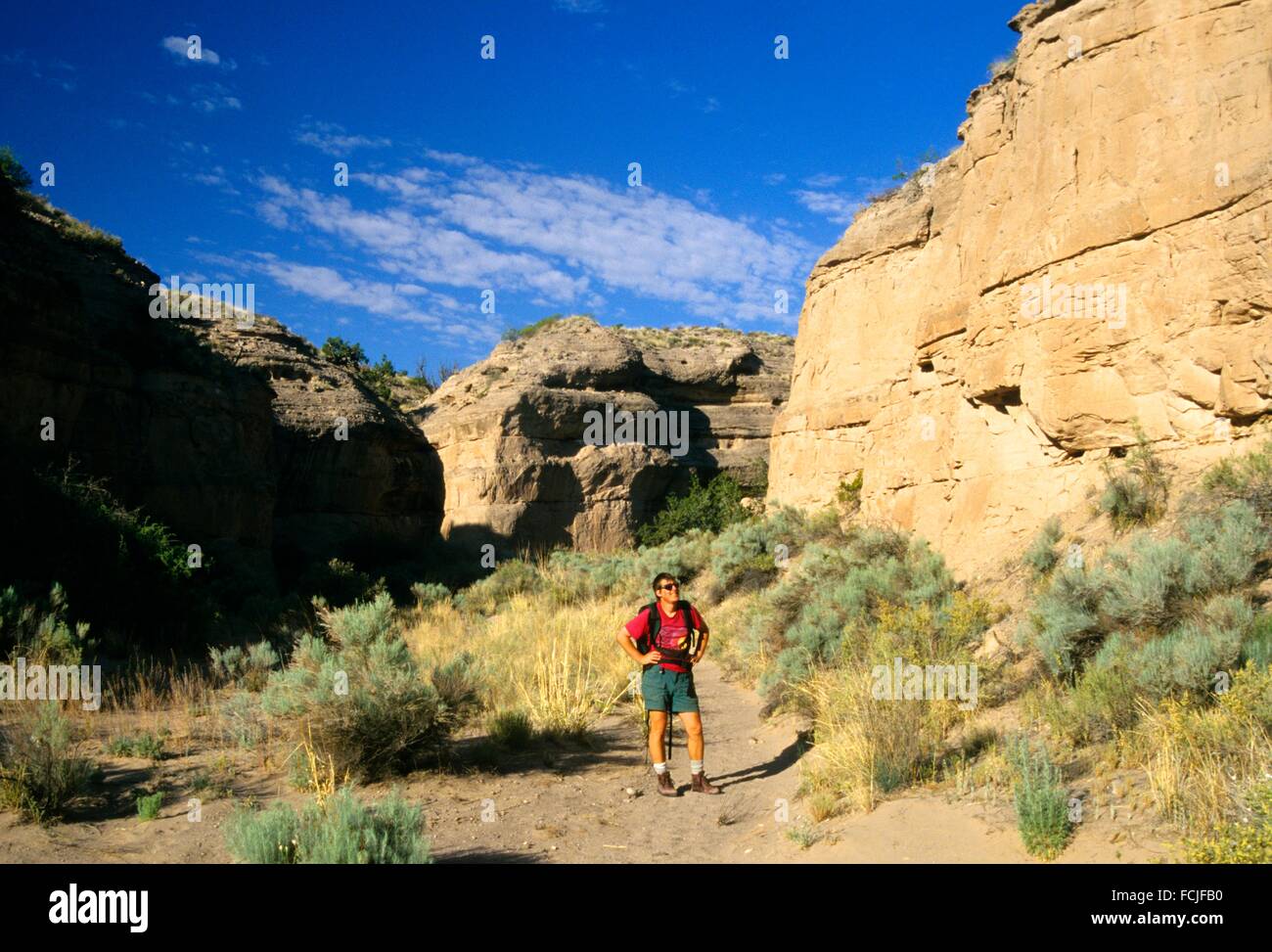 La Solitude Canyon, bien désert indien, Bosque del Apache National Wildlife Refuge, Nouveau Mexique. Banque D'Images
