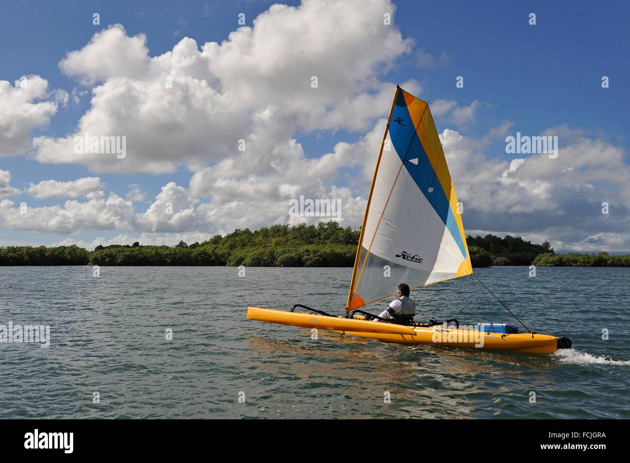 La pédale et la voile en bateau dans la mangrove, Grand Cul-de-sac marin,  Vieux-Bourg, Morne-a-l'eau, Grande-Terre Photo Stock - Alamy