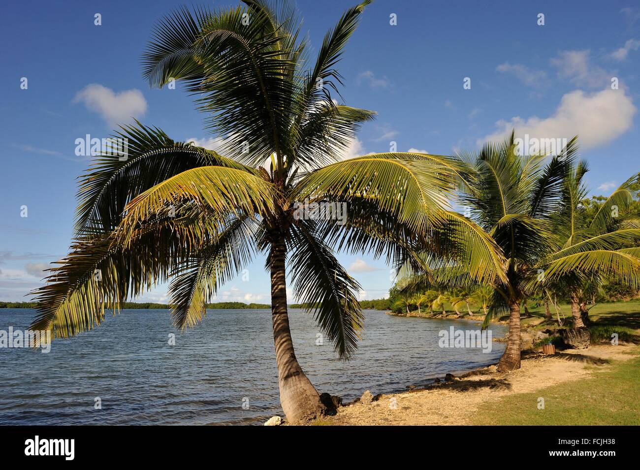 La plage de Babin, Morne-a-l'eau, Grande-Terre, Guadeloupe, région d'outre-mer de la France, Vent Îles, Petites Antilles, Caraïbes. Banque D'Images