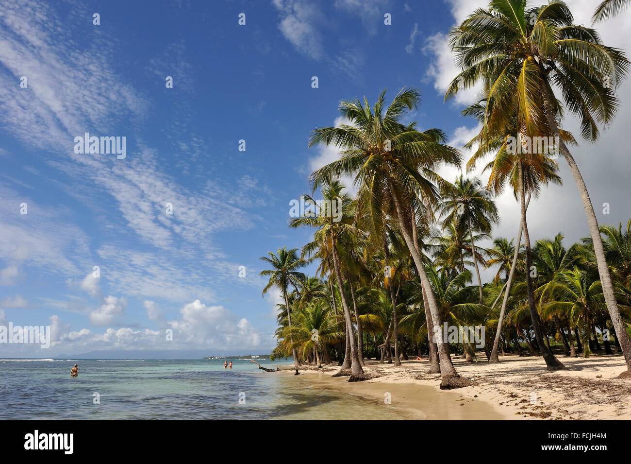 Plage De Bois Jolan Sainte Anne Grande Terre Guadeloupe
