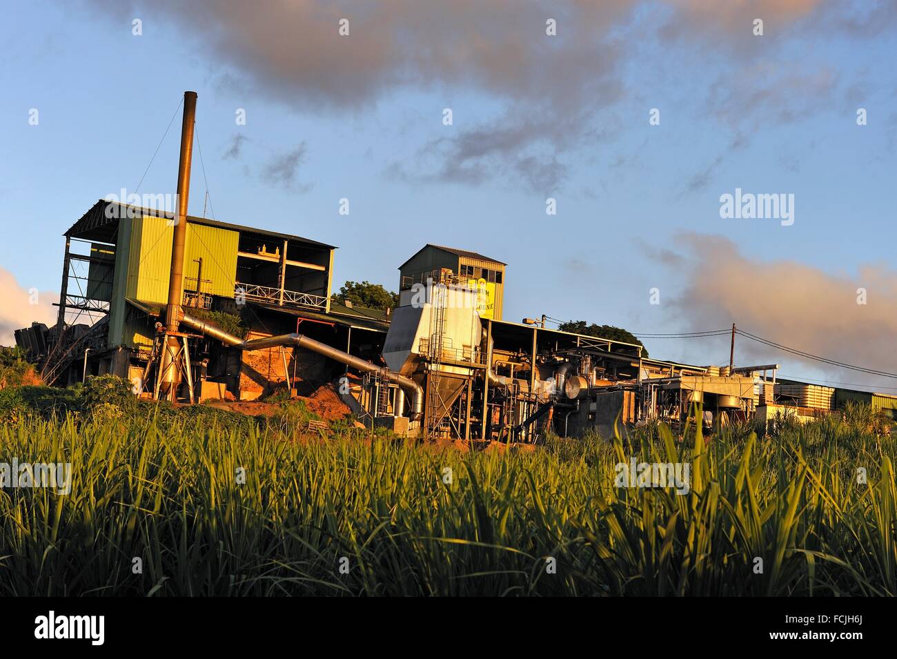 Distillerie de Rhum Bologne, ville de Basse-Terre, Guadeloupe, région  d'outre-mer de la France, Vent Îles, Petites Antilles Photo Stock - Alamy