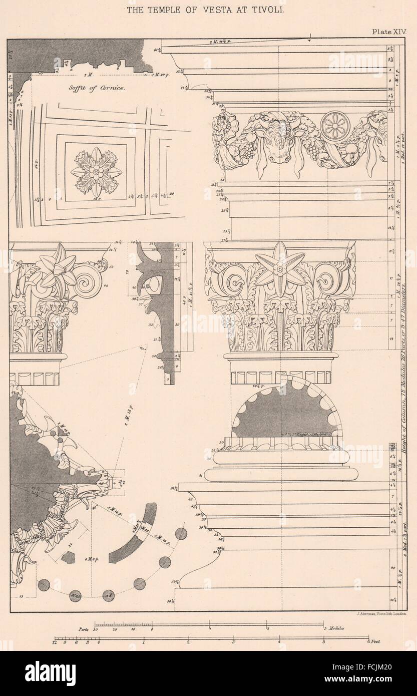 L'architecture classique : le Temple de Vesta à Tivoli, ancien 1902 Banque D'Images