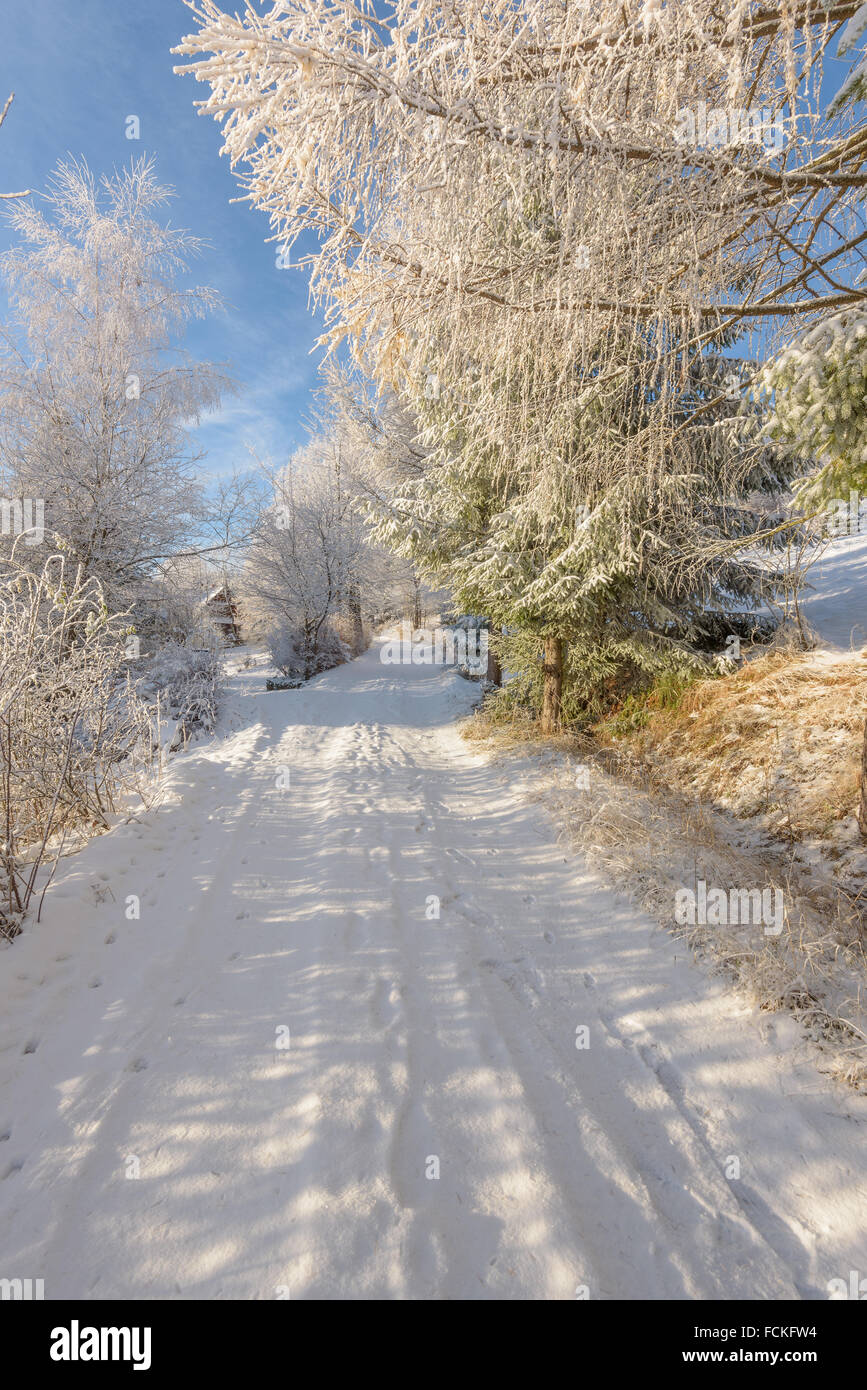 Route de neige dans les montagnes sur une journée froide et ensoleillée Banque D'Images