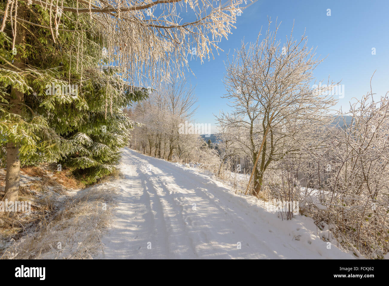 Route de neige dans les montagnes sur une journée froide et ensoleillée Banque D'Images