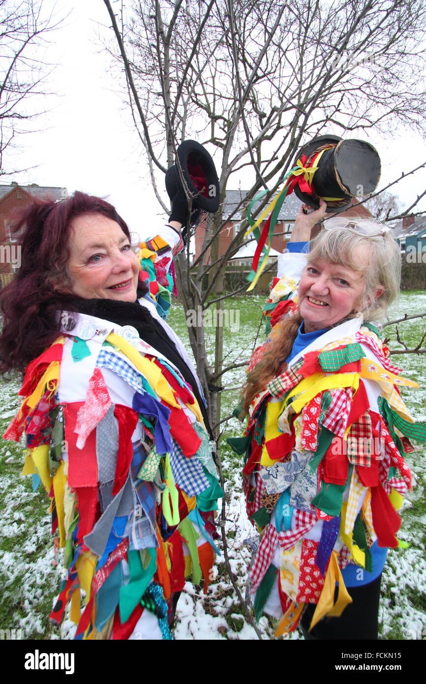 Morris Dancers wassail un pommier dans un verger communautaire à Chesterfield, Derbyshire, Angleterre Royaume-uni - Hiver 2016 Banque D'Images