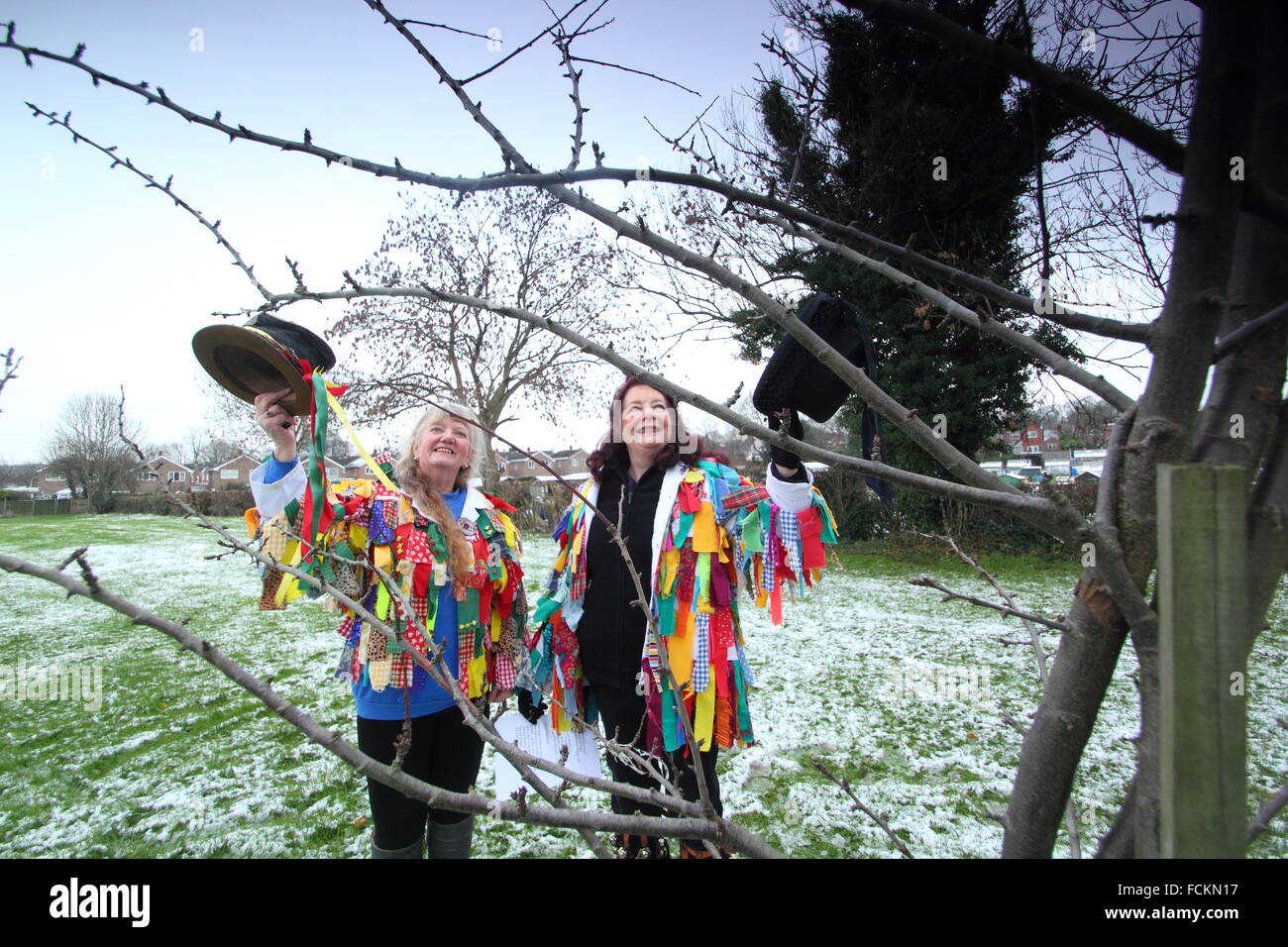 Morris Dancers wassail un pommier dans un verger communautaire à Chesterfield, Derbyshire, Angleterre Royaume-uni - Hiver 2016 Banque D'Images