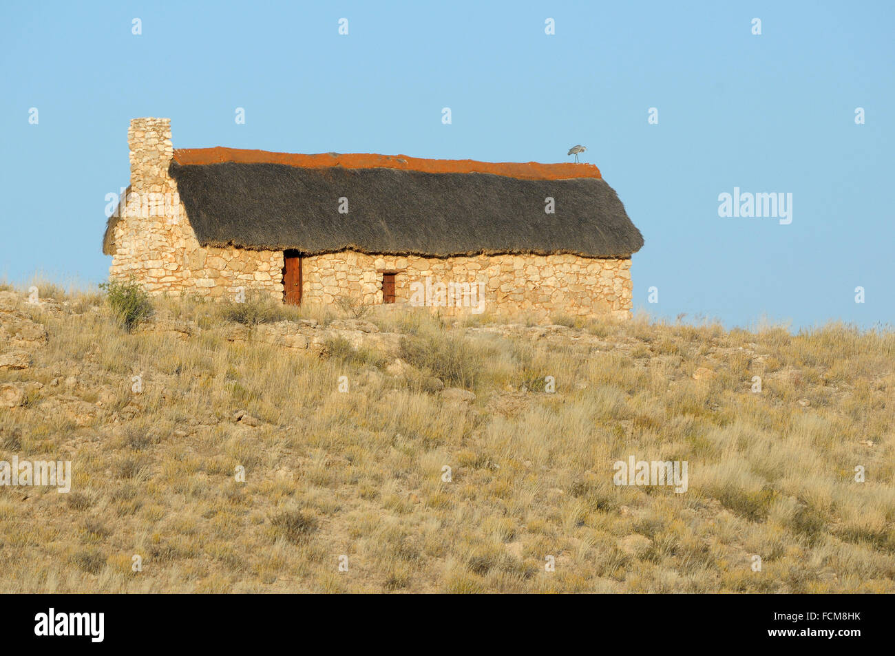 Colon historique home à Auchterlonie dans le parc transfrontalier de Kgalagadi avec héron à tête noire sur le toit. Banque D'Images