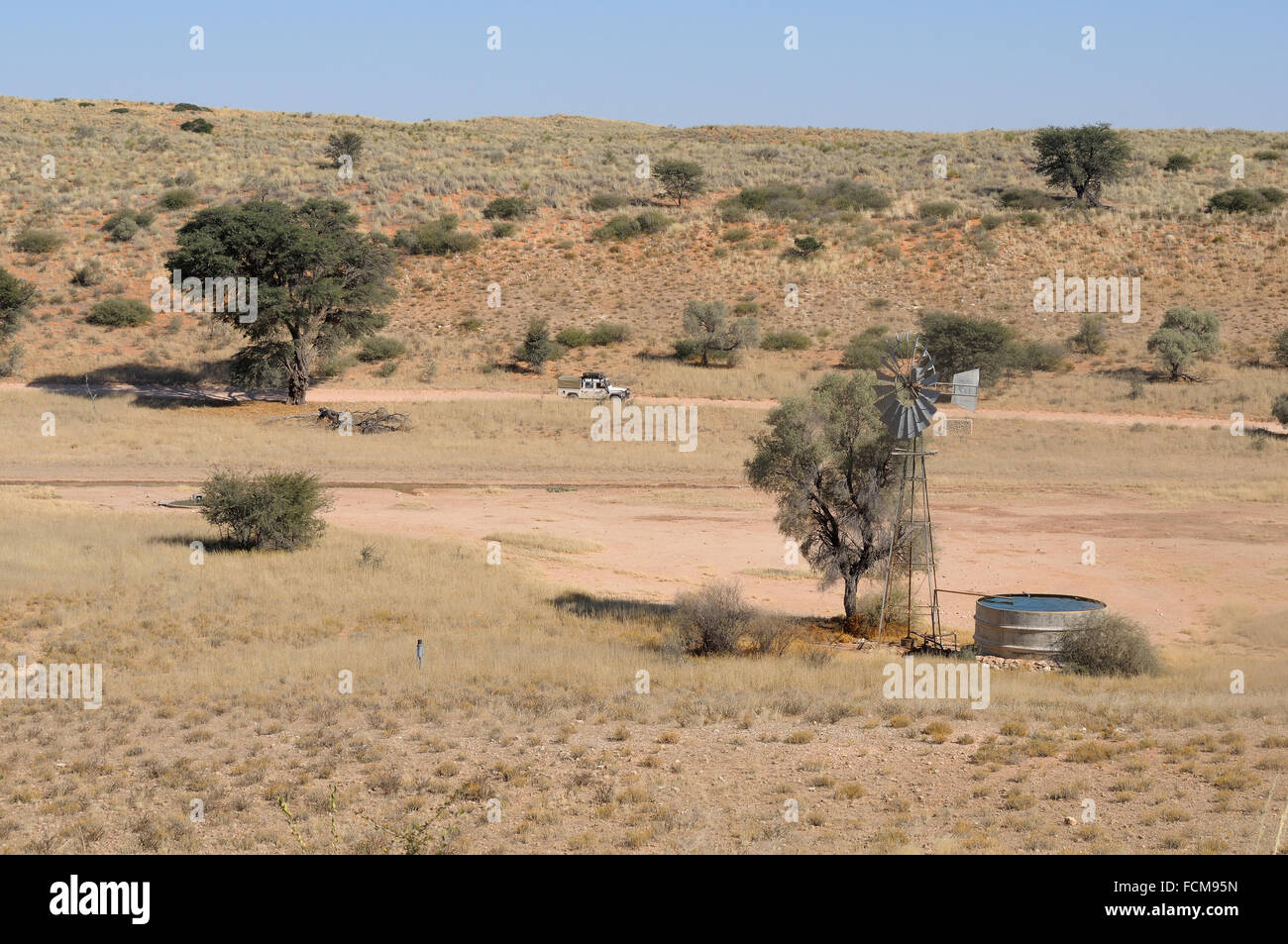 KGALAGADI TRANSFRONTIER PARK, AFRIQUE DU SUD - Juin 2012 : scène typique dans le parc transfrontalier de Kgalagadi. Photo prise le 6 juin Banque D'Images