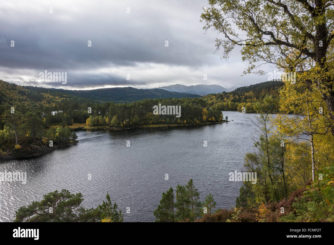 Loch Beinn a'Mheadhoin, Glen Affric, Beauly, Ecosse, Royaume-Uni Banque D'Images