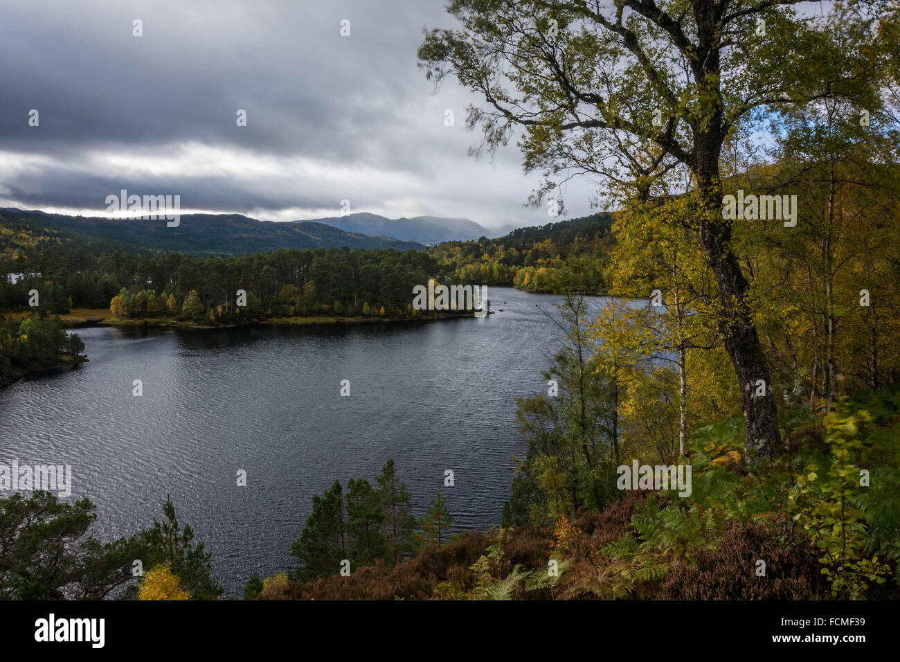 Loch Beinn a'Mheadhoin, Glen Affric, Beauly, Ecosse, Royaume-Uni Banque D'Images