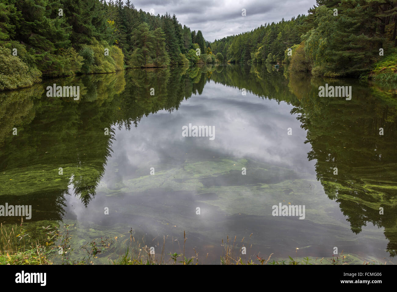 Millbuies, Elgin, Ecosse, Royaume-Uni Banque D'Images