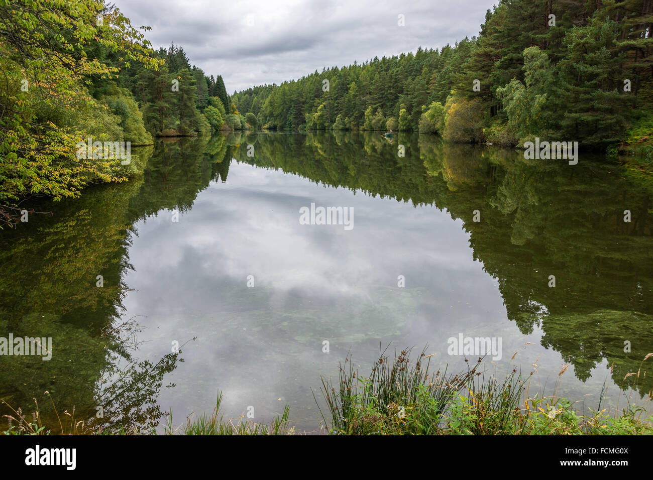 Millbuies, Elgin, Ecosse, Royaume-Uni Banque D'Images