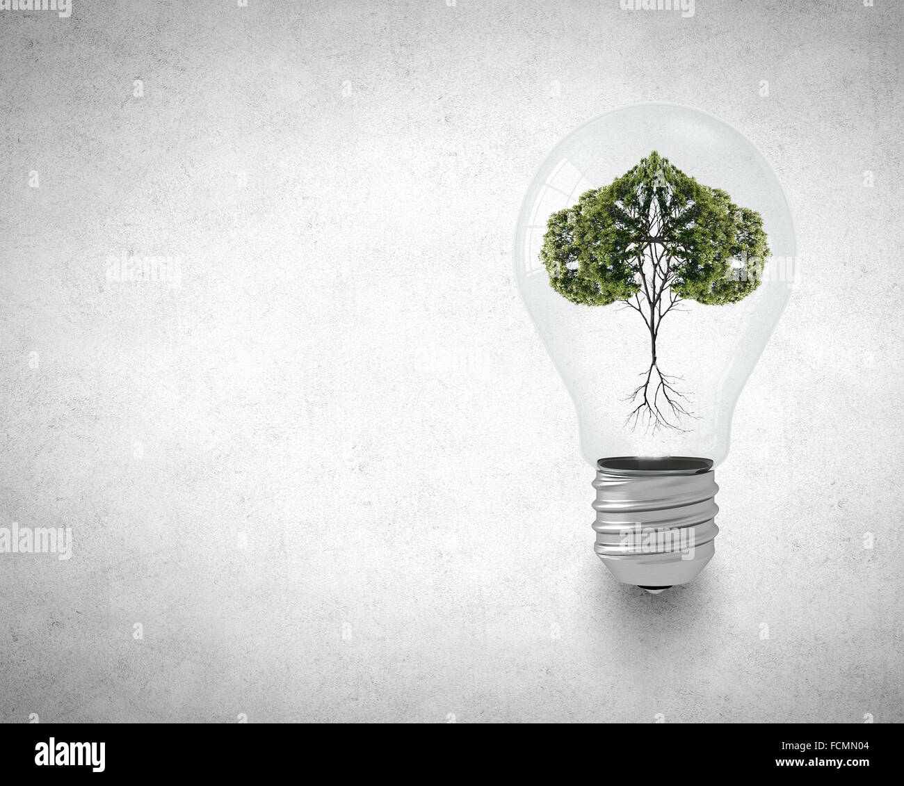 Ampoule avec l'intérieur de l'arbre. Ecology concept Banque D'Images