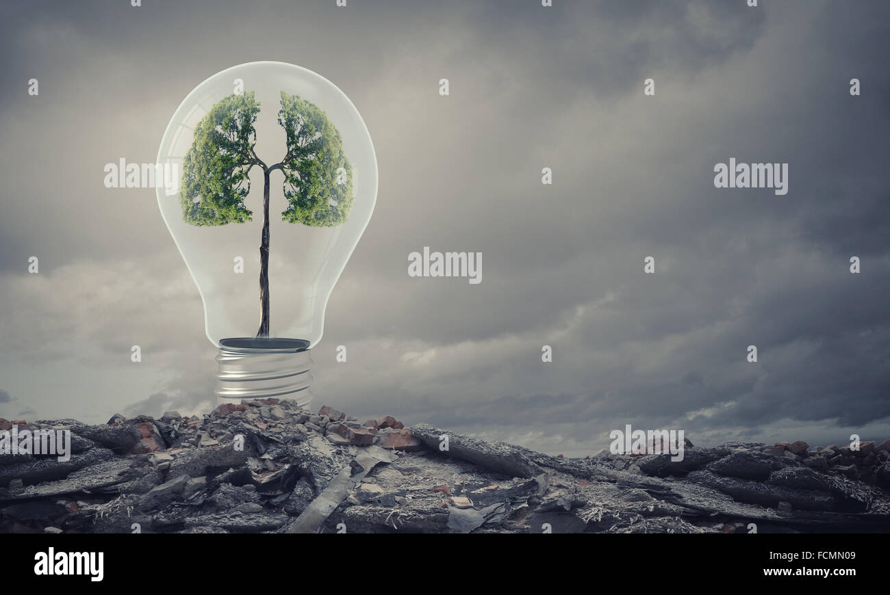 Ampoule avec l'intérieur de l'arbre. Ecology concept Banque D'Images