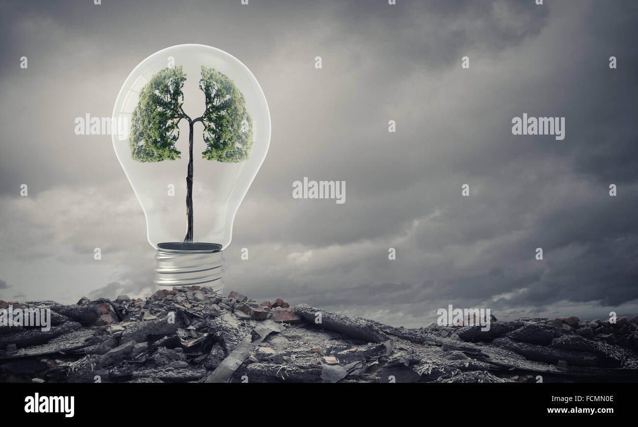 Ampoule avec l'intérieur de l'arbre. Ecology concept Banque D'Images