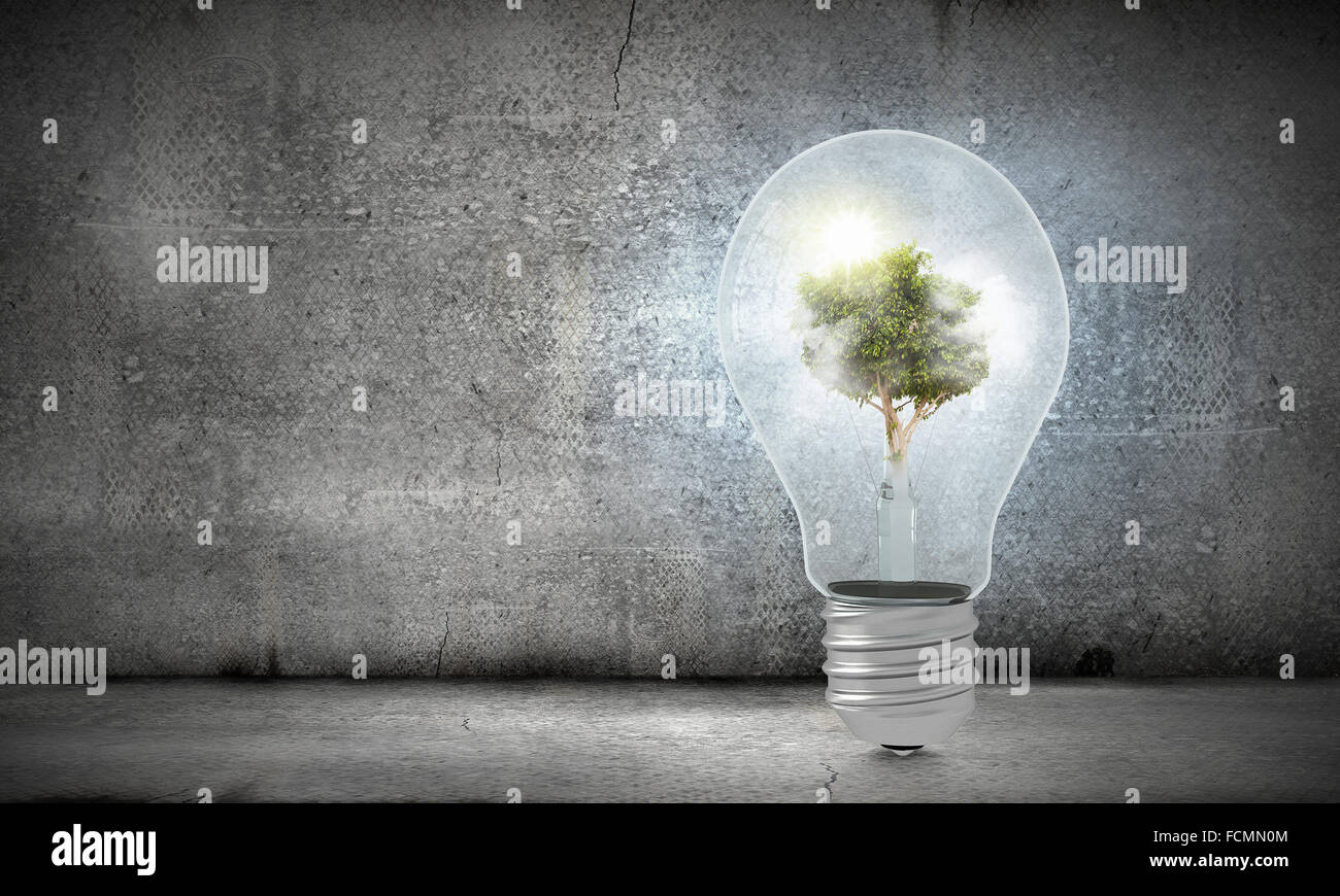 Ampoule avec l'intérieur de l'arbre. Ecology concept Banque D'Images