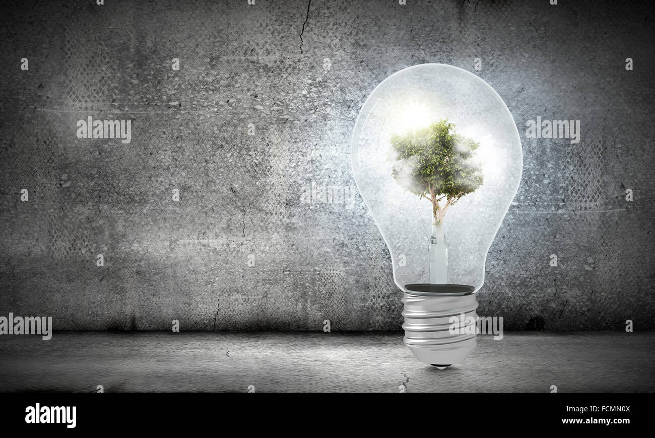 Ampoule avec l'intérieur de l'arbre. Ecology concept Banque D'Images