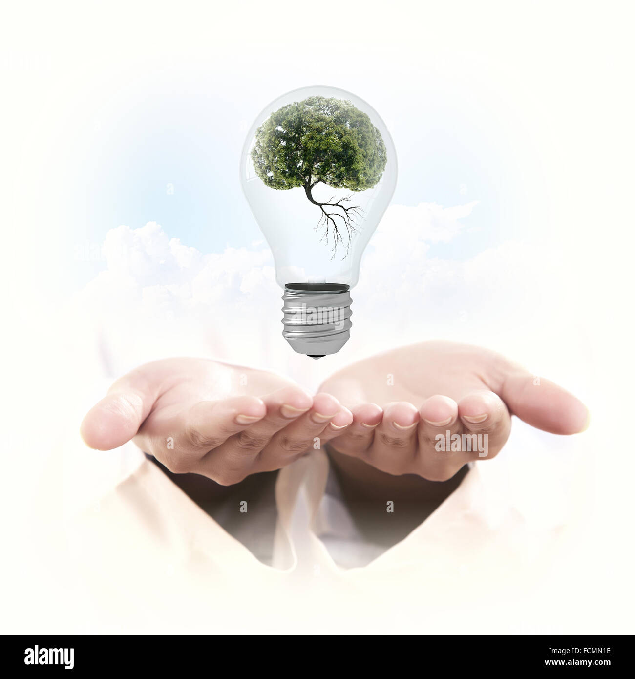 Ampoule avec l'intérieur de l'arbre. Ecology concept Banque D'Images