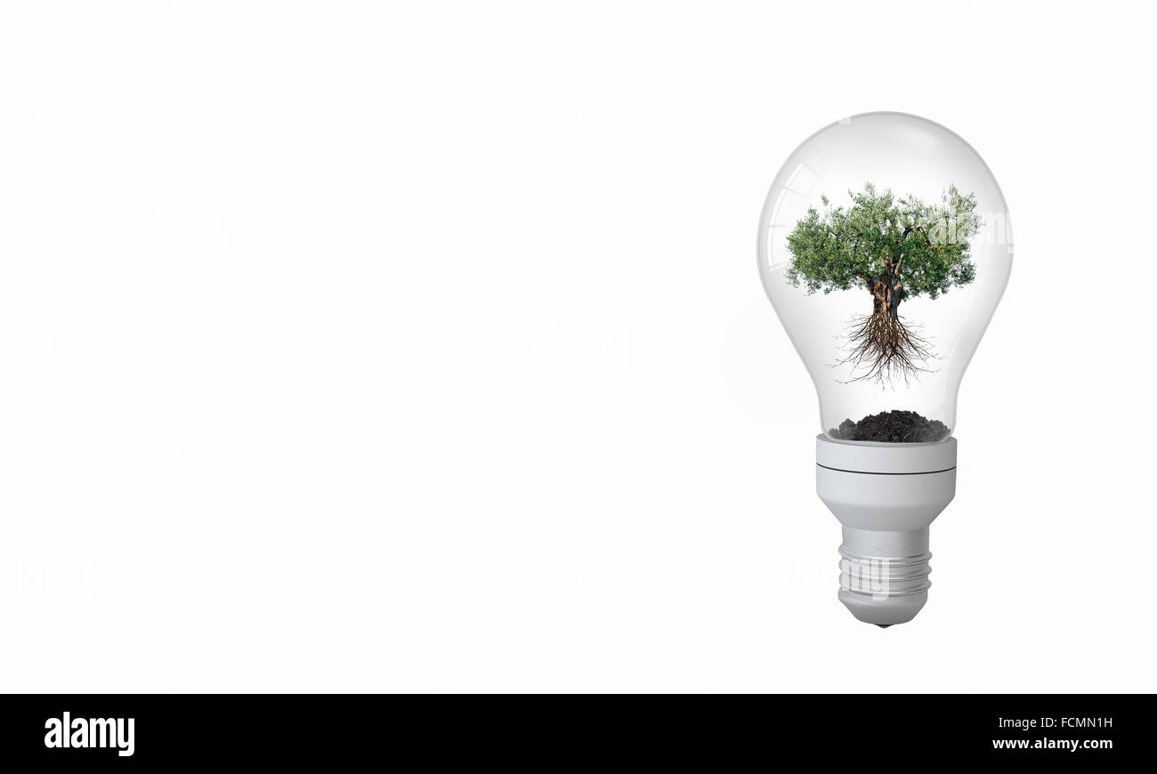 Ampoule avec l'intérieur de l'arbre. Ecology concept Banque D'Images