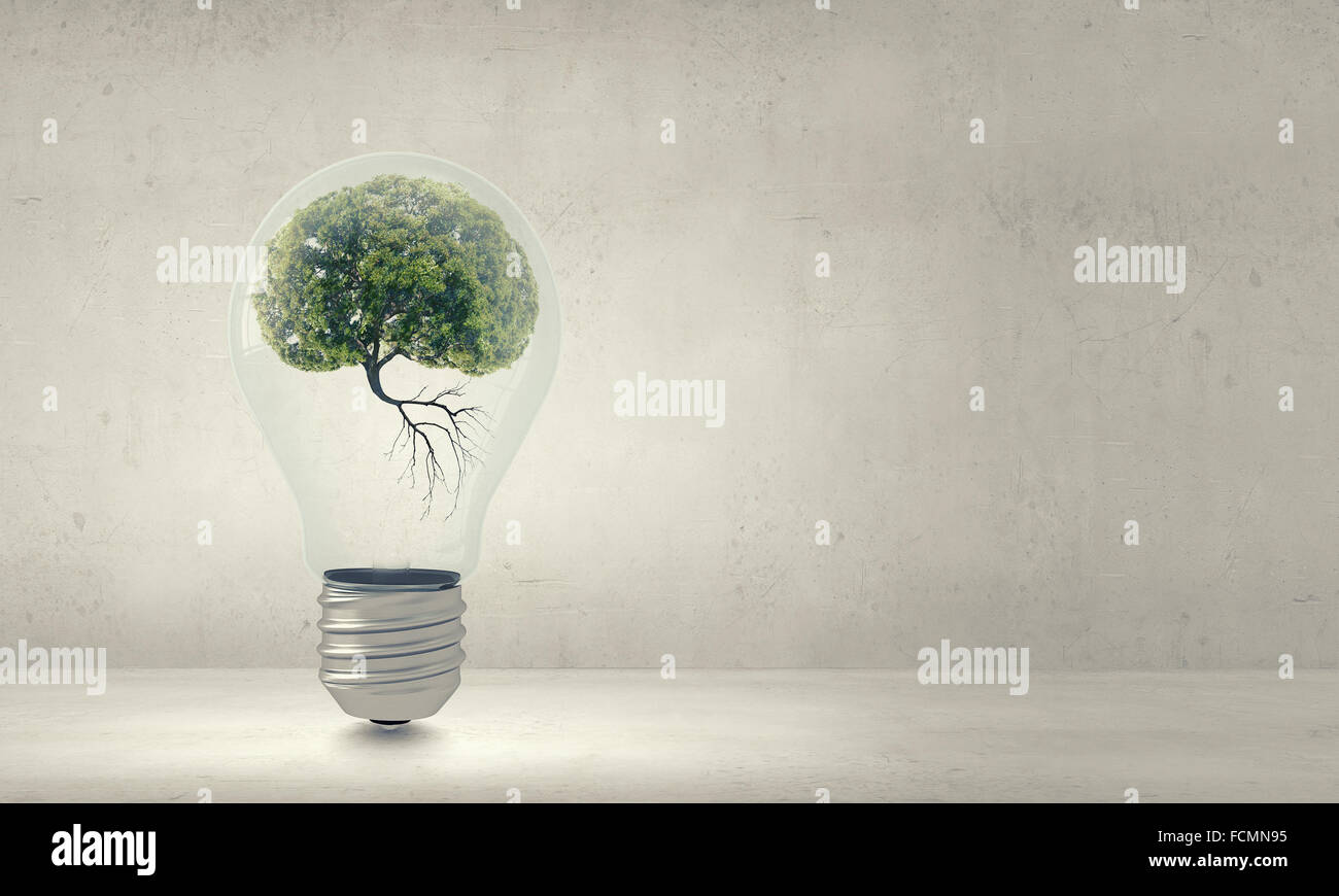 Ampoule avec l'intérieur de l'arbre. Ecology concept Banque D'Images