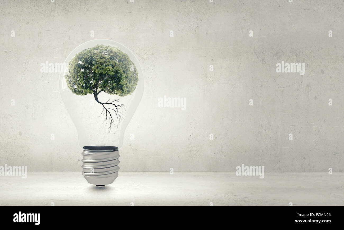 Ampoule avec l'intérieur de l'arbre. Ecology concept Banque D'Images