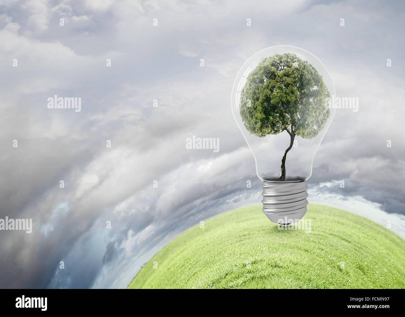 Ampoule avec l'intérieur de l'arbre. Ecology concept Banque D'Images