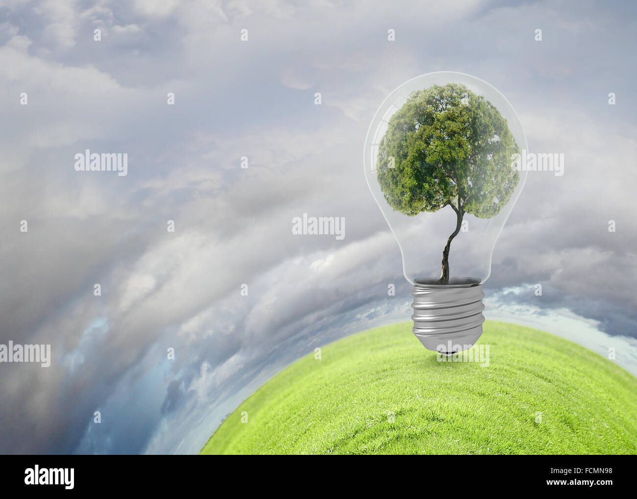 Ampoule avec l'intérieur de l'arbre. Ecology concept Banque D'Images