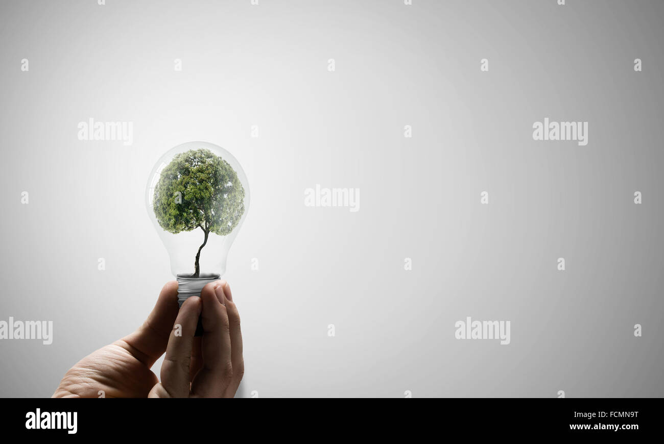 Ampoule avec l'intérieur de l'arbre. Ecology concept Banque D'Images