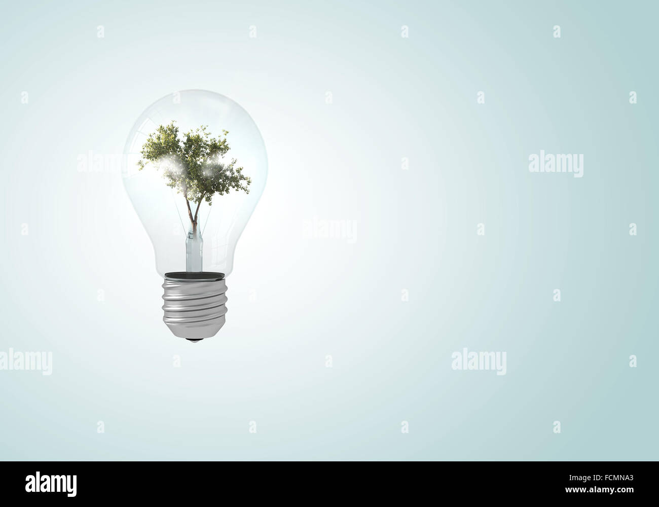 Ampoule avec l'intérieur de l'arbre. Ecology concept Banque D'Images