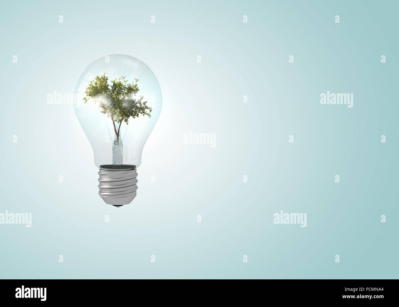 Ampoule avec l'intérieur de l'arbre. Ecology concept Banque D'Images