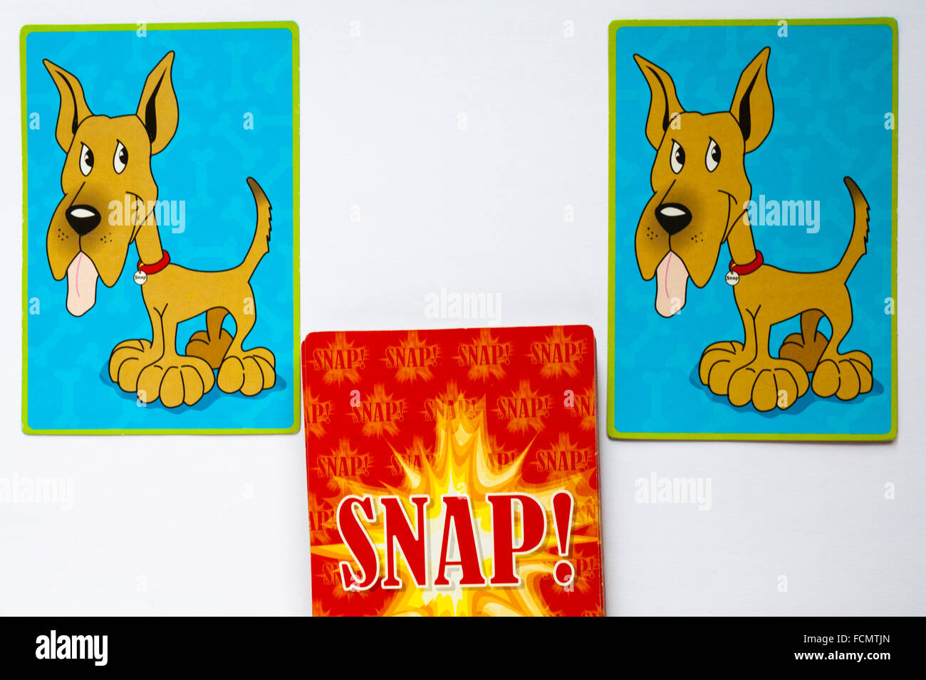 Le jeu de cartes avec les chiens avec la langue de correspondance hanging out situé sur fond blanc Banque D'Images