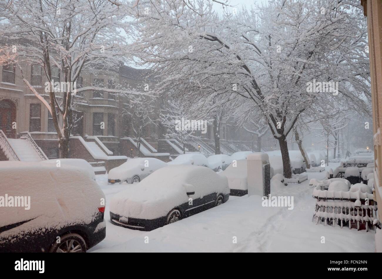 New York, USA. 23 janvier, 2016. Tempête de neige à New York Brooklyn 2016 Jonas Crédit : Simon leigh/Alamy Live News Banque D'Images