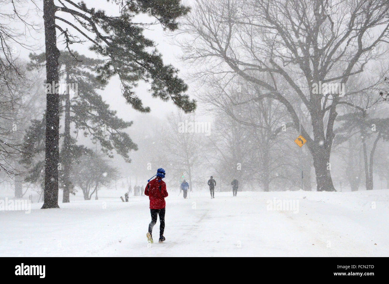 New York, USA. 23 janvier, 2016. Tempête de neige à New York Brooklyn 2016 Jonas Crédit : Simon leigh/Alamy Live News Banque D'Images