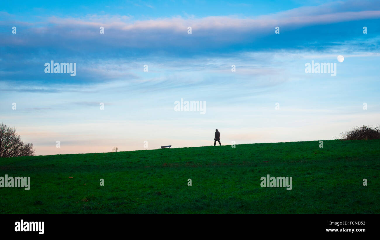 Vue générale au crépuscule sur Hampstead Heath à Londres Banque D'Images