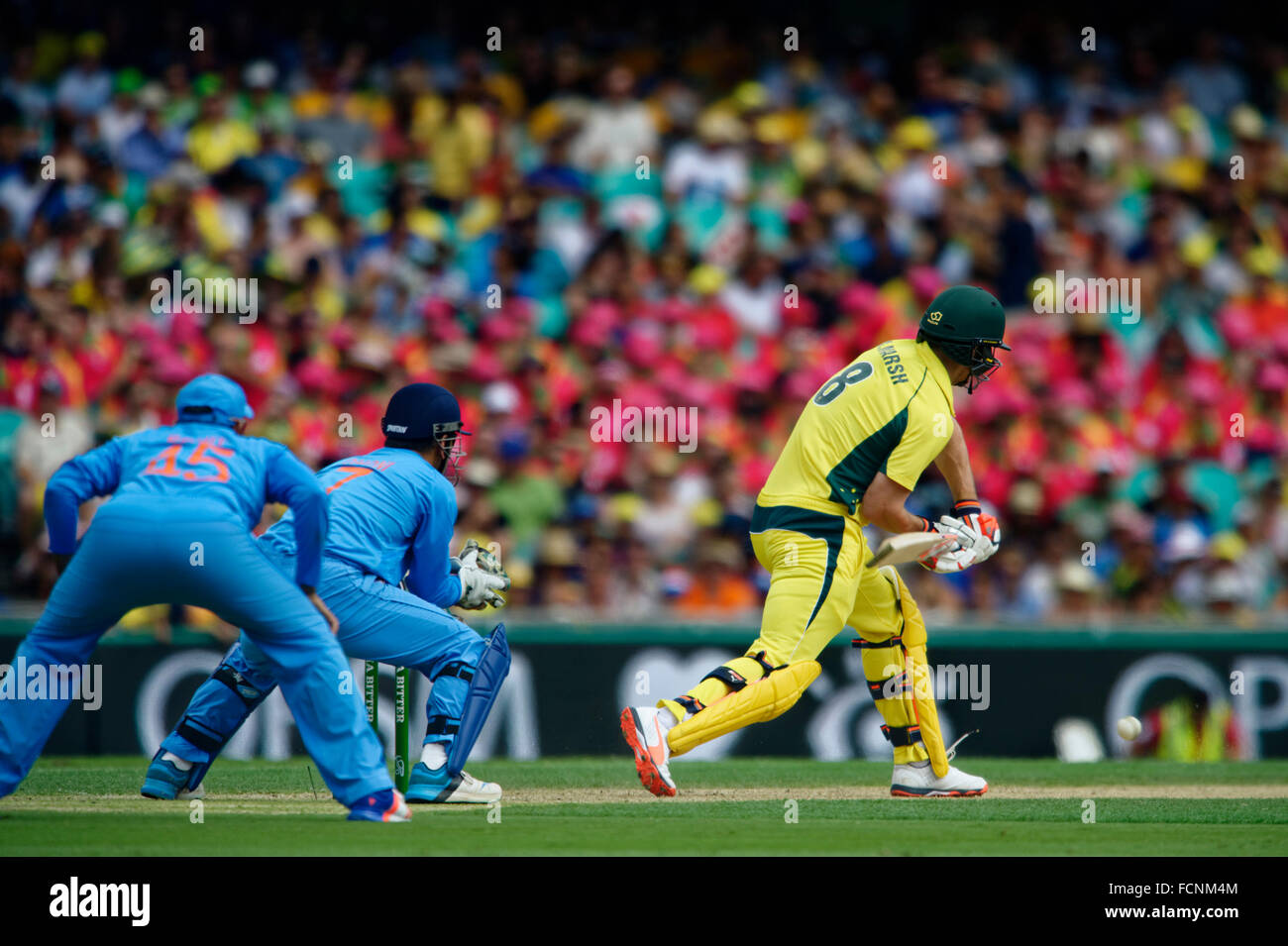 Sydney, Australie. 23 Jan, 2016. # 8 Mitchell Marsh (AUS) chauves-souris comme le capitaine # 7 MS Dhoni (IND) et # 45 Rohit Sharma (IND) domaine au Sydney Cricket Ground pour un jour international entre l'Australie et l'Inde au Sydney Cricket Ground à Sydney. © Plus Sport Action/Alamy Live News Banque D'Images