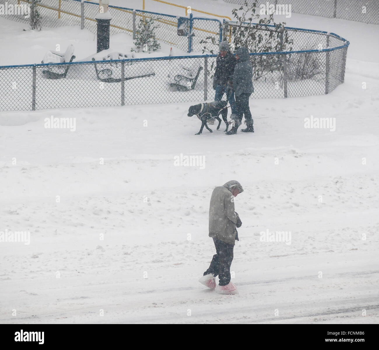 New York, USA. 23 Jan, 2016. Une personne sans domicile déambule la rue dans la neige à New York durant la tempête Jonas le Samedi, Janvier 23, 2016. Crédit : Richard Levine/Alamy Live News Banque D'Images