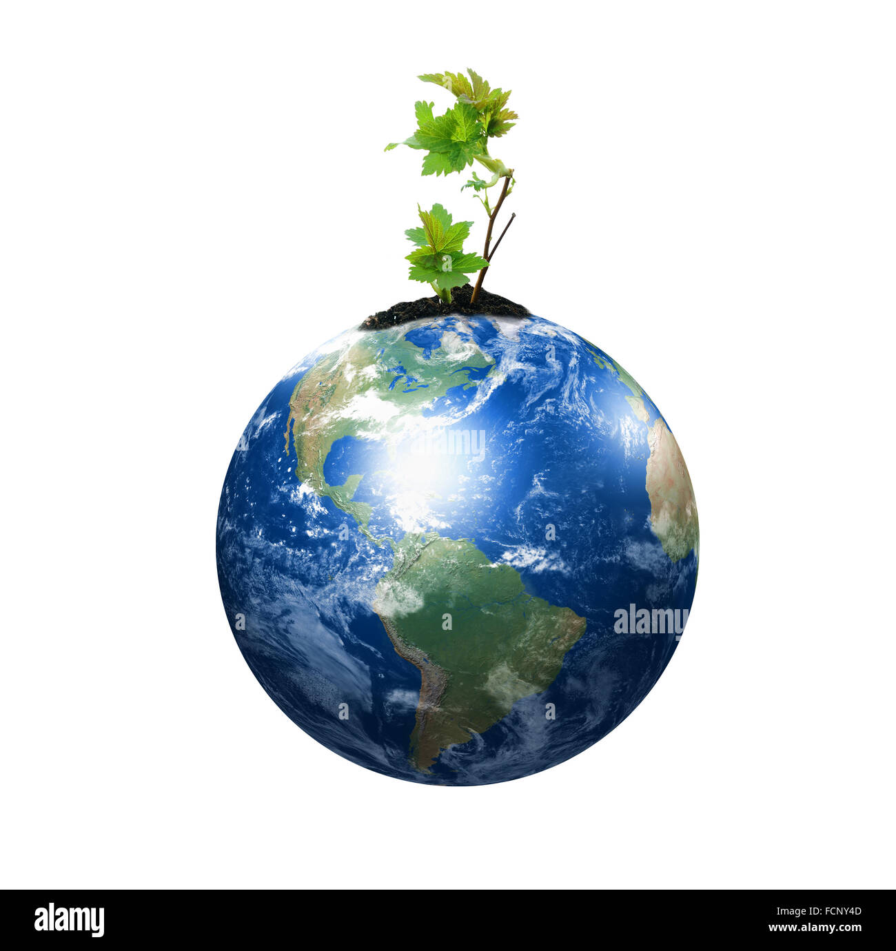 Les mains, la jeune pousse et notre planète Terre Banque D'Images