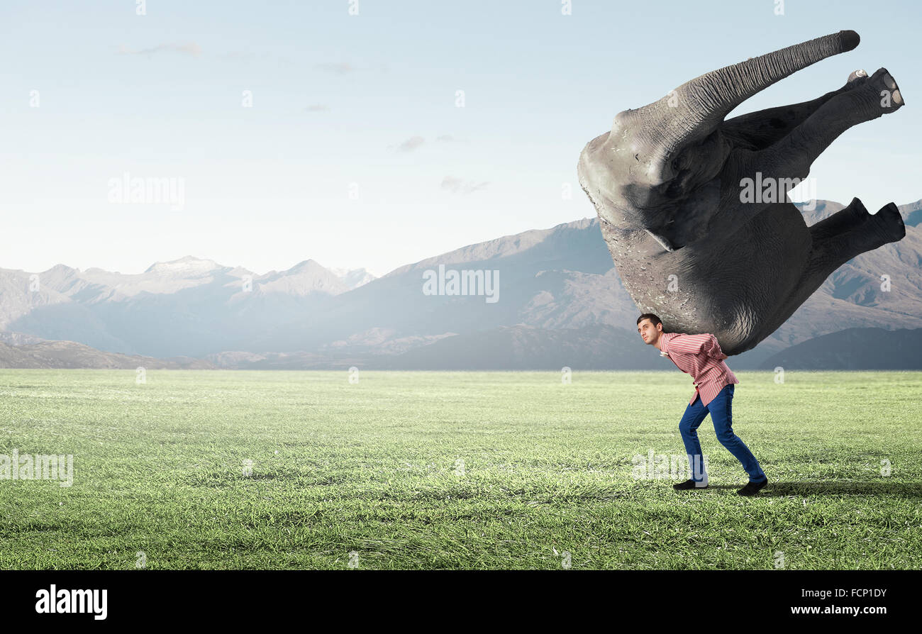 Jeune homme portant de lourdes sur le dos de l'éléphant Banque D'Images