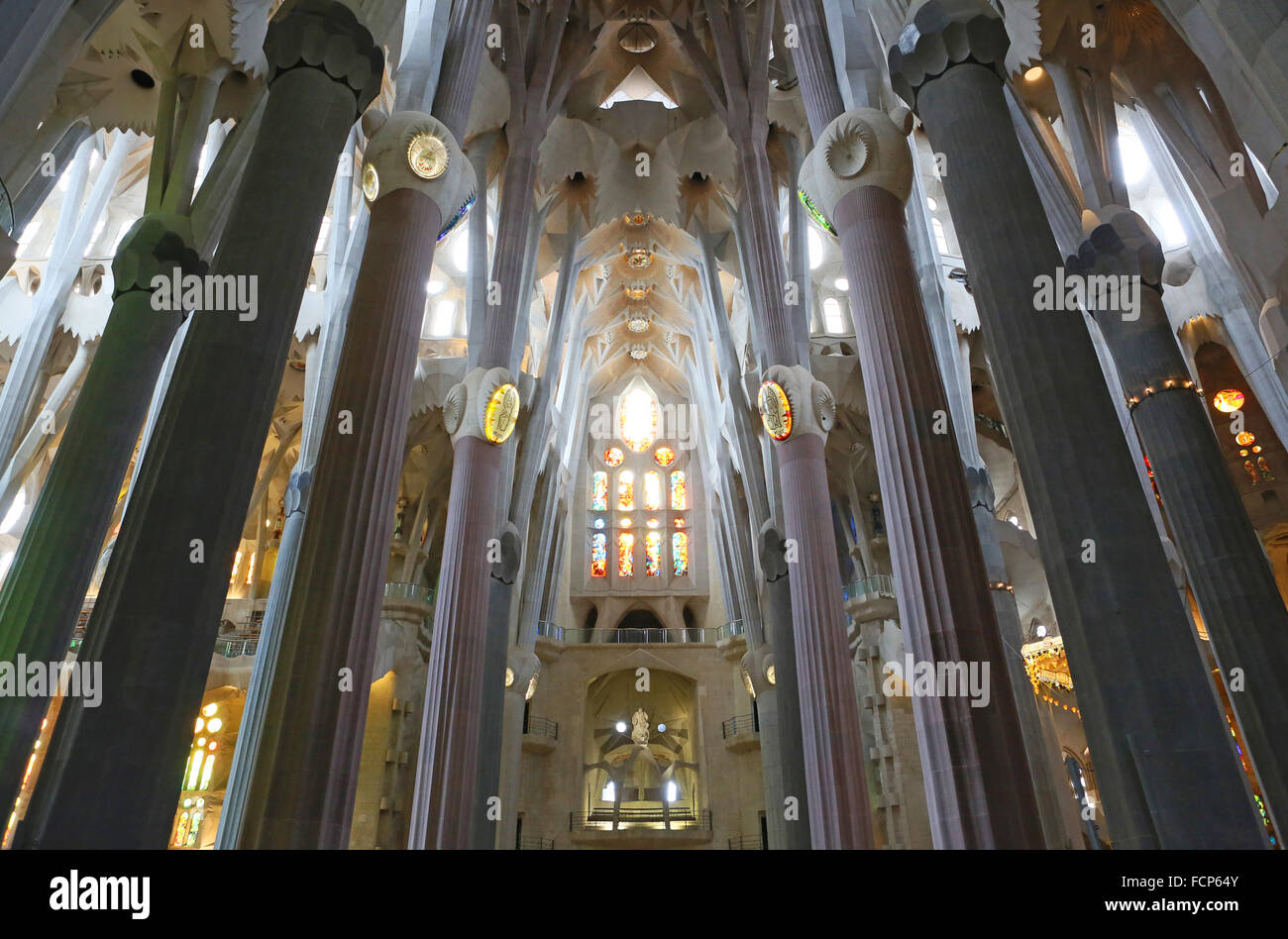 Plafond de la basilique Sagrada Familia, Barcelona, Espagne. Banque D'Images