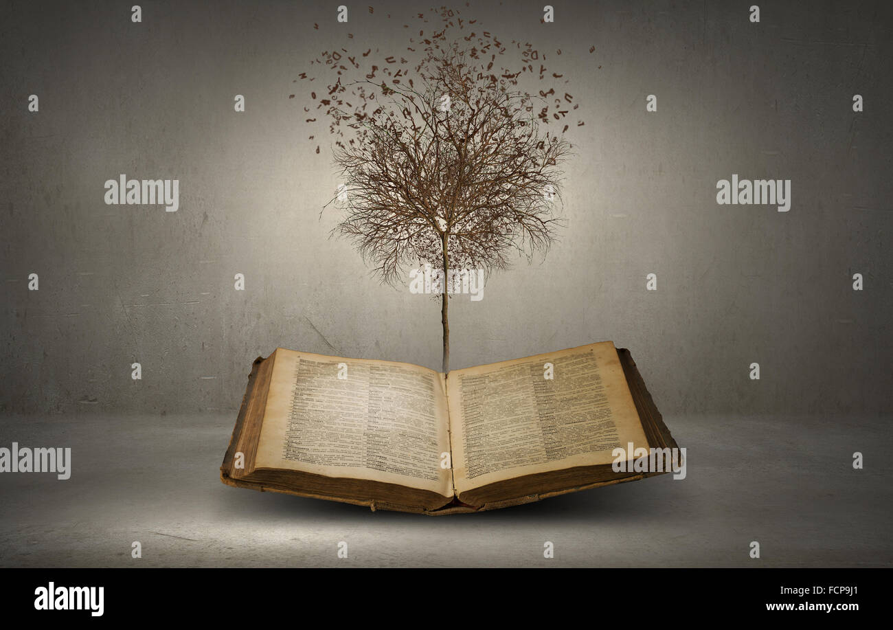 Image conceptuelle avec arbre sec de plus en plus d'adresses Banque D'Images