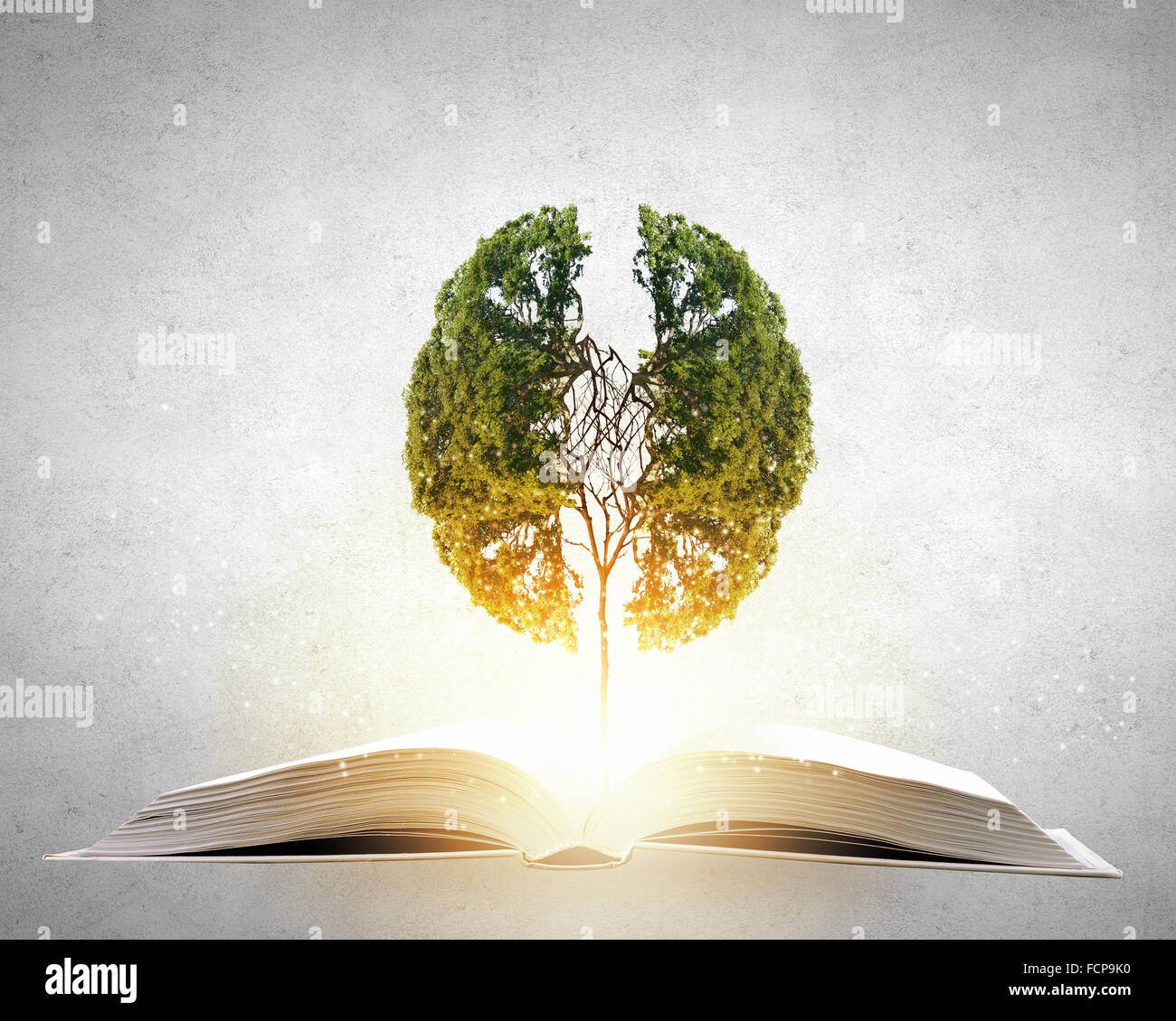 Image conceptuelle avec l'arbre vert de plus en plus d'adresses Banque D'Images