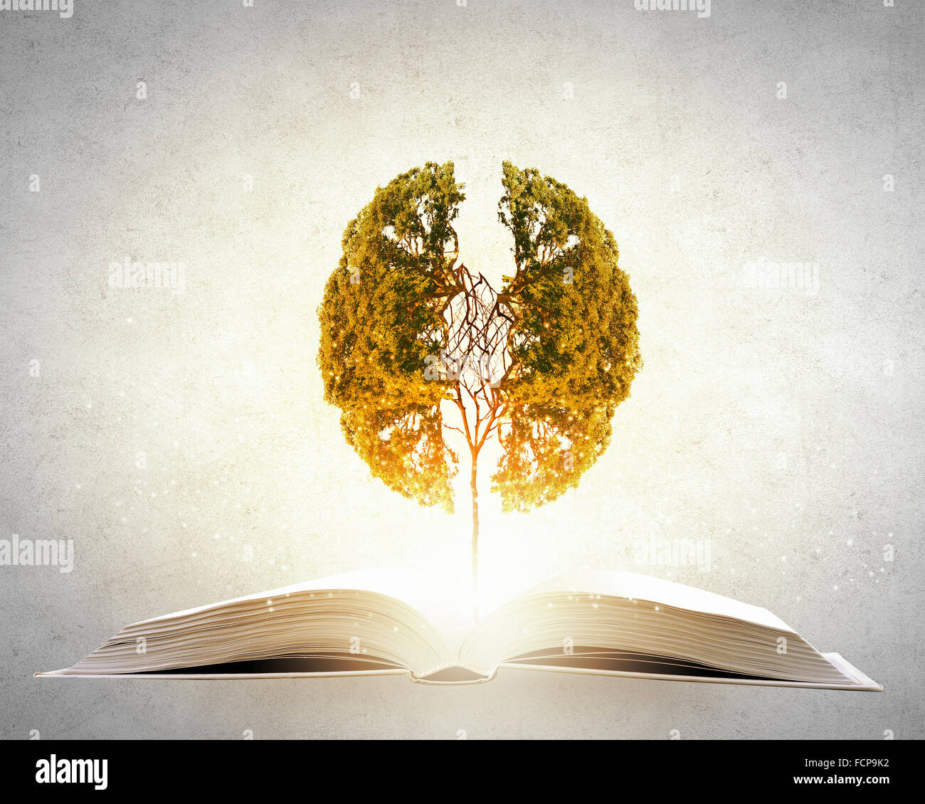 Image conceptuelle avec l'arbre vert de plus en plus d'adresses Banque D'Images