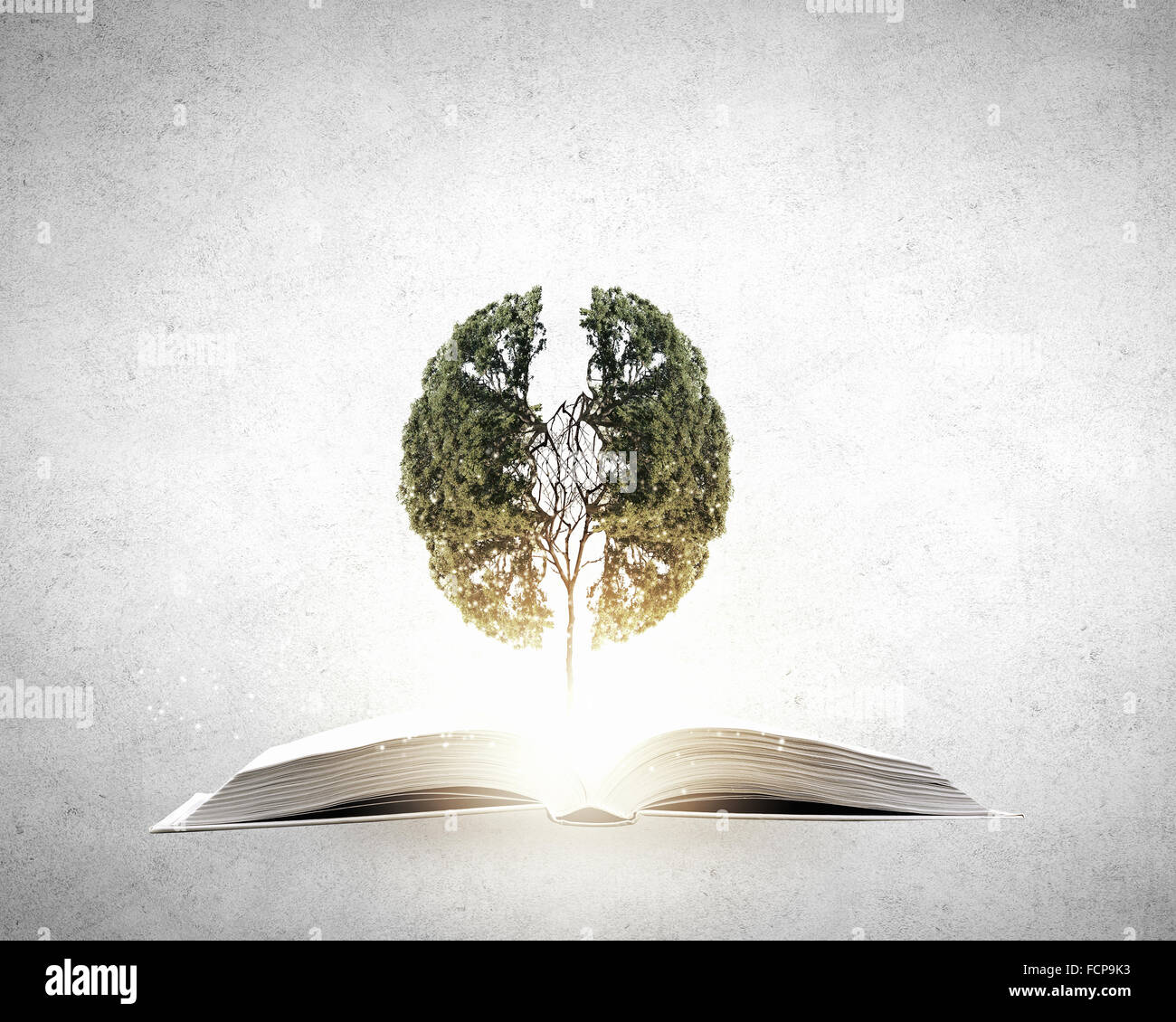 Image conceptuelle avec l'arbre vert de plus en plus d'adresses Banque D'Images